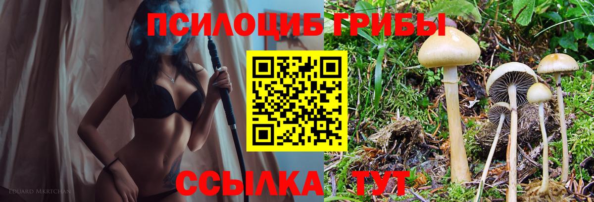 наркотики  Вход с VPN  Сланцы  Псилоцибиновые грибы ЛСД 